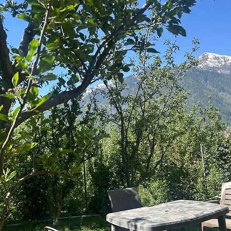 Sunface Homestay Manāli Εξωτερικό φωτογραφία