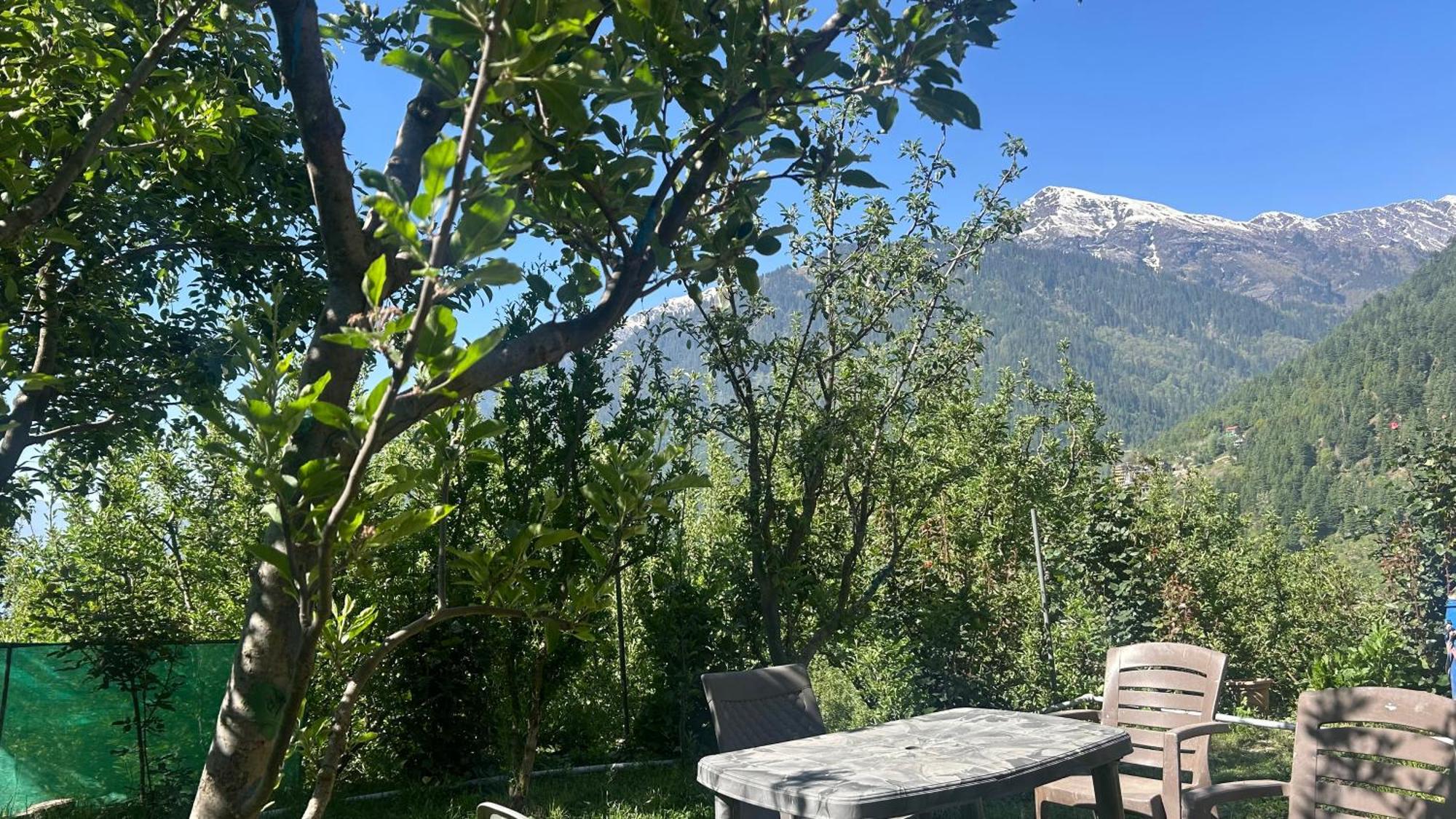 Sunface Homestay Manāli Εξωτερικό φωτογραφία