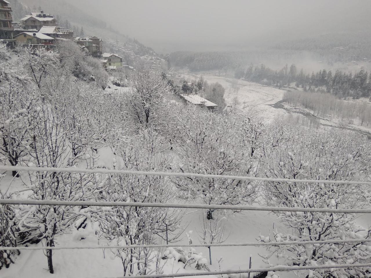 Sunface Homestay Manāli Εξωτερικό φωτογραφία